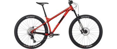 Big AL 1.0 Hardtail Bike 2021 ragleybikes