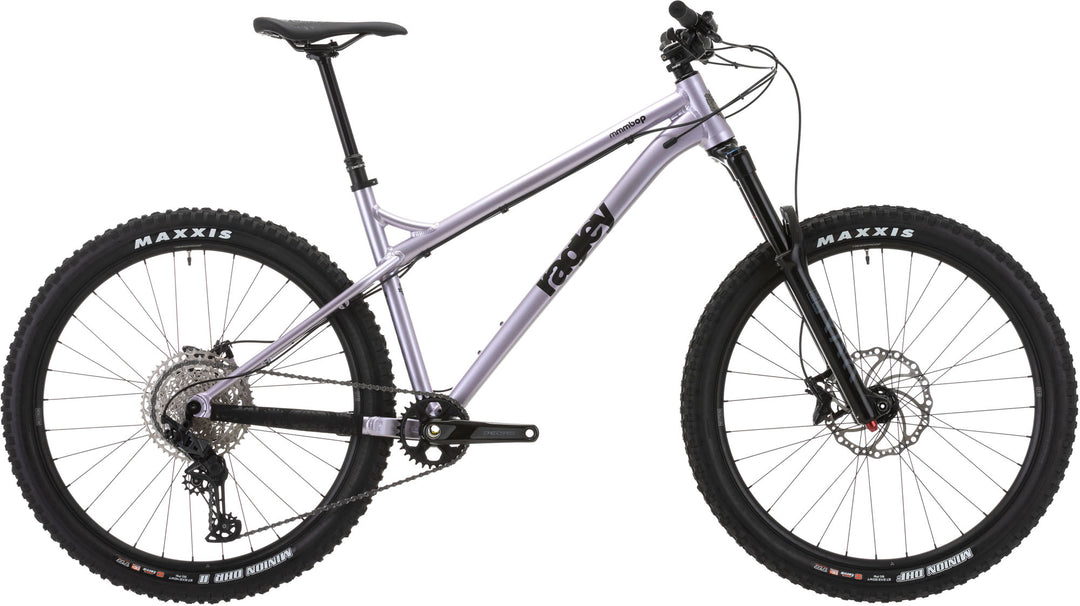 Blue Pig Race Hardtail Bike 2021 – ragleybikes